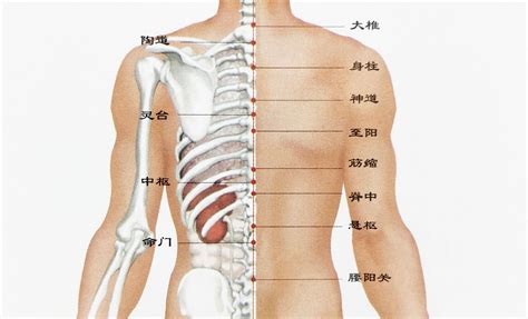 右後背有痣|背部有痣图解大全 背部有痣的人看命运